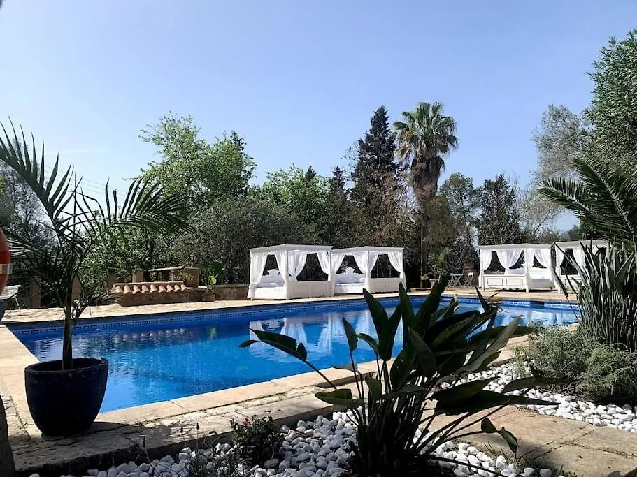 Marilla 2,Design Und Stilvoll,Xxl Pool,Wifi, Klima Apartment Manacor   Manacor (Mallorca)